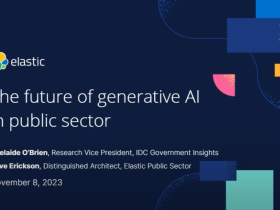 The future of generative AI in the public sector